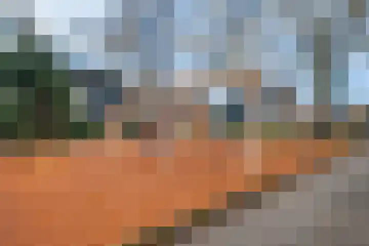 Prins Florisplein 13 Bathmen thumbnail 39