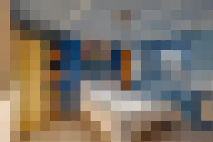 Prins Florisplein 13 Bathmen thumbnail 4