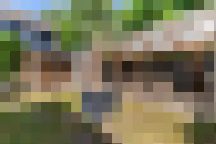 Prins Florisplein 16 Bathmen thumbnail 19
