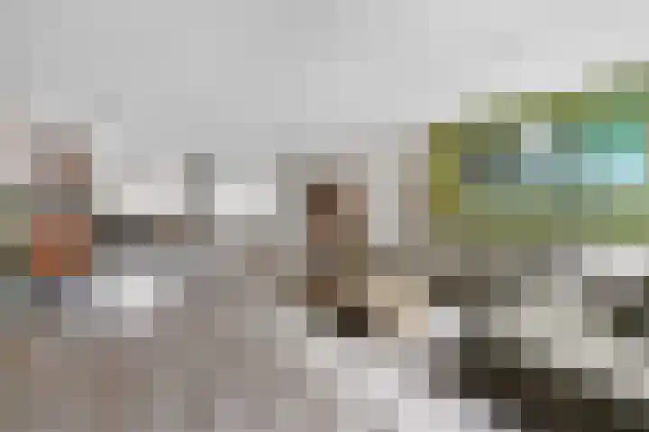 Prins Florisstraat 30 Maasdijk thumbnail 11