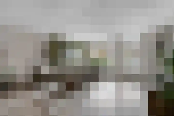 Prins Florisstraat 30 Maasdijk thumbnail 12