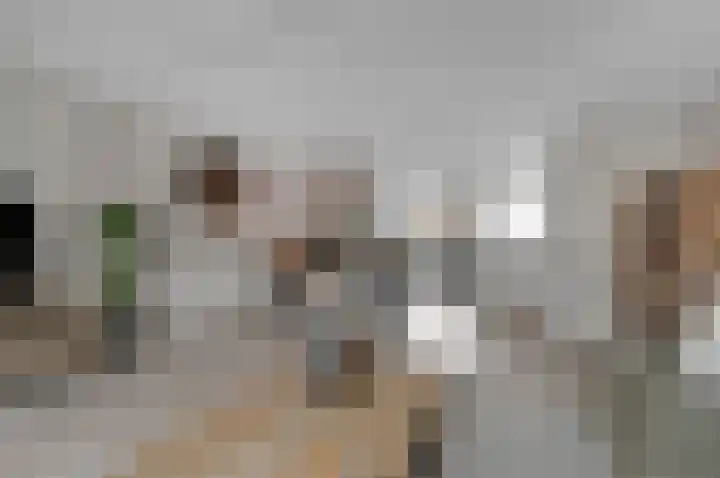 Prins Florisstraat 30 Maasdijk thumbnail 13