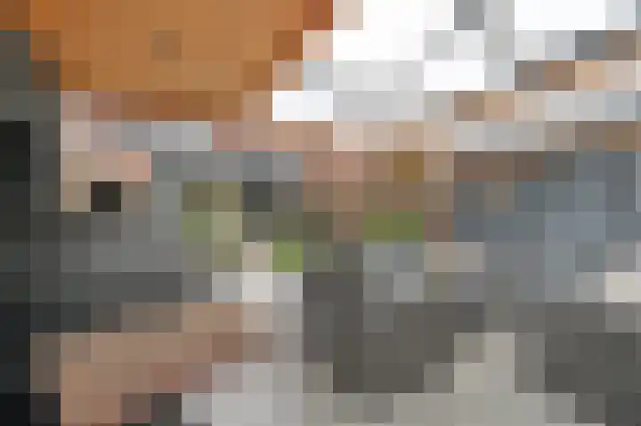 Prins Florisstraat 30 Maasdijk thumbnail 17