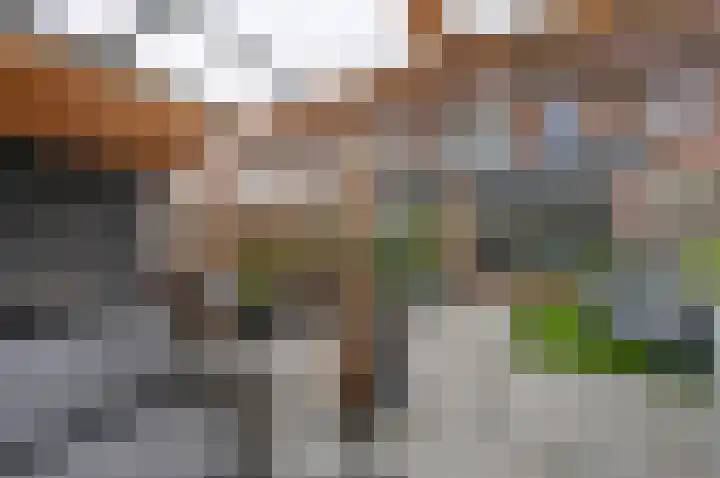 Prins Florisstraat 30 Maasdijk thumbnail 18