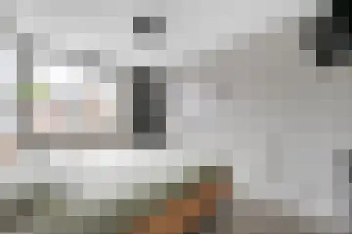 Prins Florisstraat 30 Maasdijk thumbnail 22