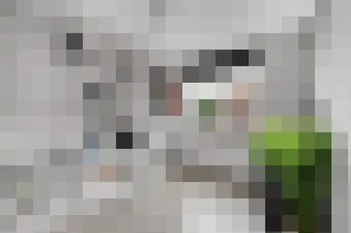 Prins Florisstraat 30 Maasdijk thumbnail 26