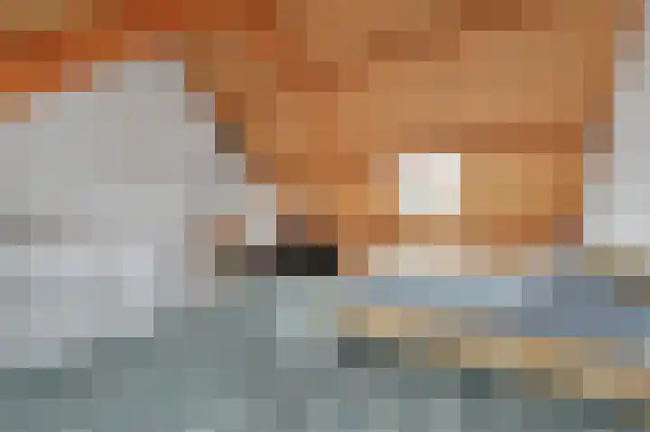 Prins Florisstraat 30 Maasdijk thumbnail 33