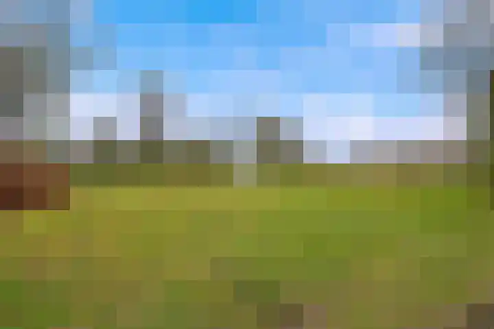 Prins Florisstraat 30 Maasdijk thumbnail 36