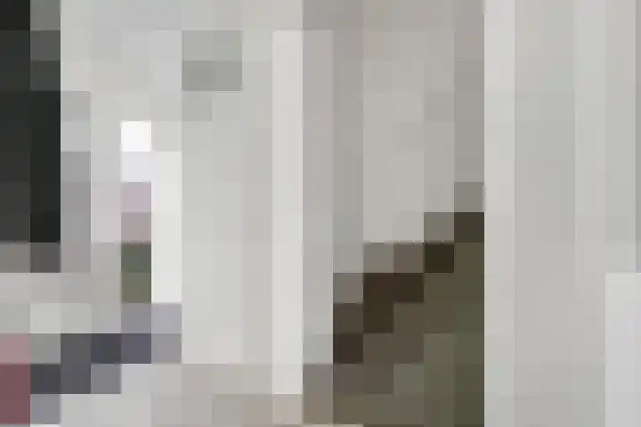 Prins Florisstraat 30 Maasdijk thumbnail 6