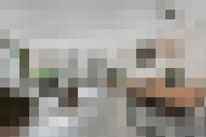 Prins Florisstraat 30 Maasdijk thumbnail 9