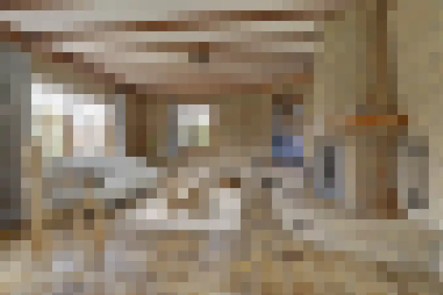 Prins Florisstraat 7 Dinteloord thumbnail 13