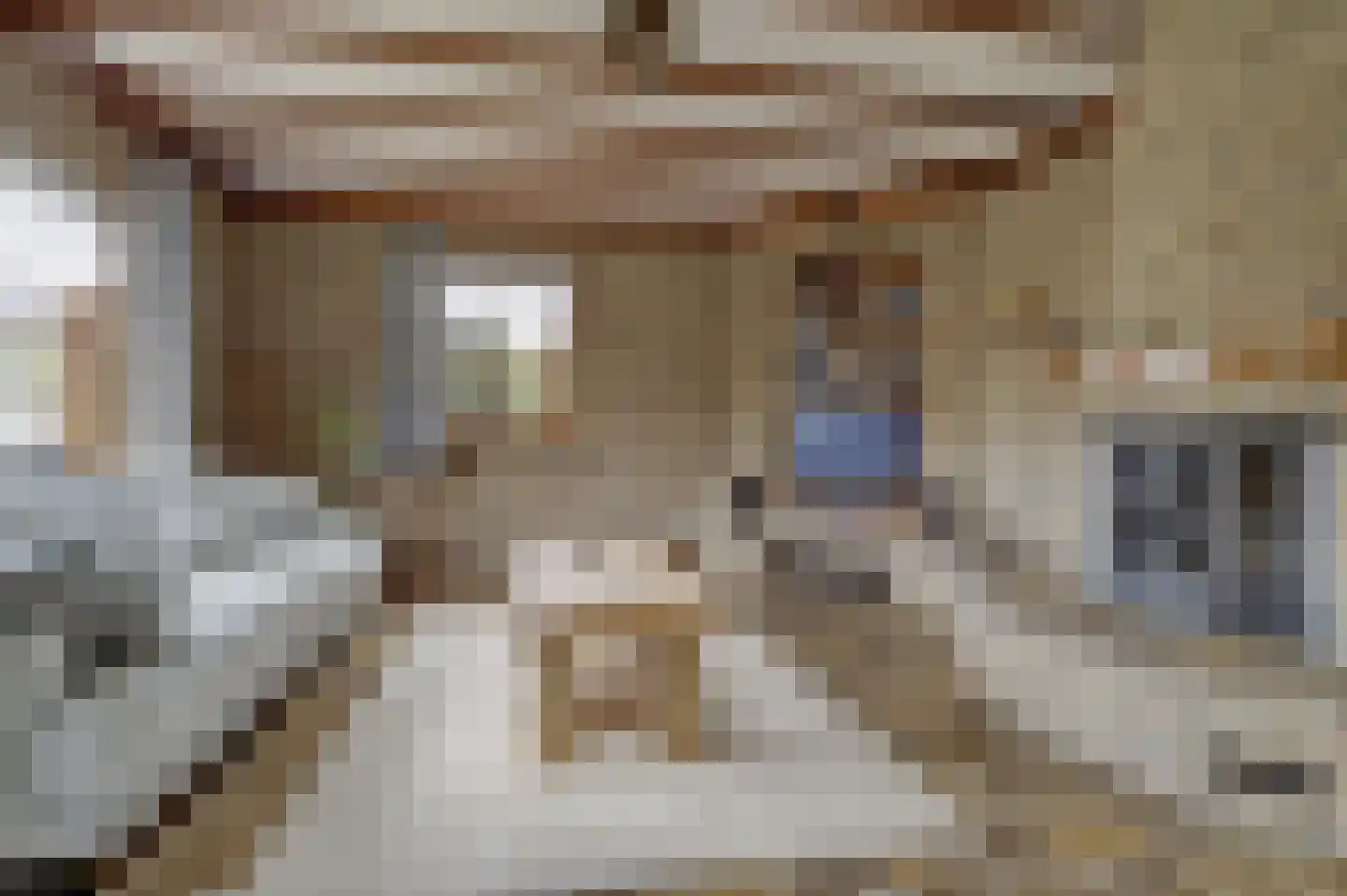 Prins Florisstraat 7 Dinteloord thumbnail 14