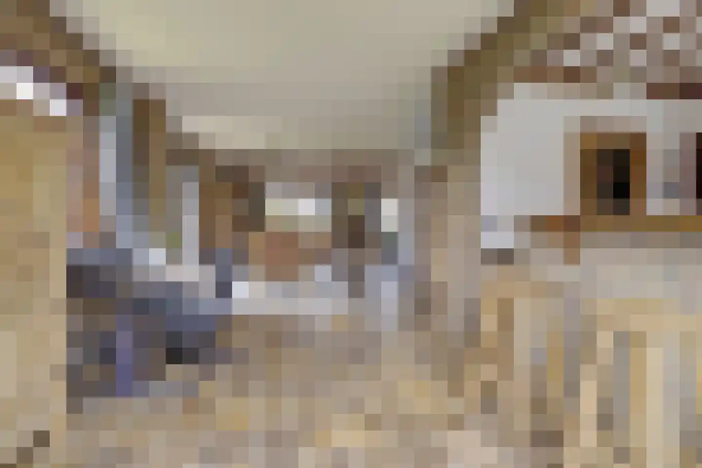 Prins Florisstraat 7 Dinteloord thumbnail 15