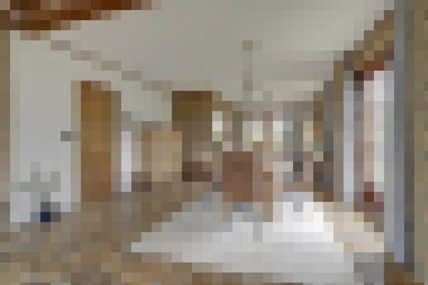 Prins Florisstraat 7 Dinteloord thumbnail 17