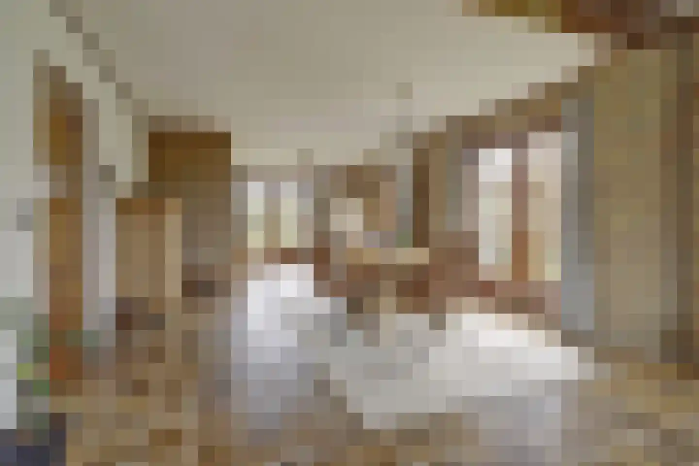 Prins Florisstraat 7 Dinteloord thumbnail 18