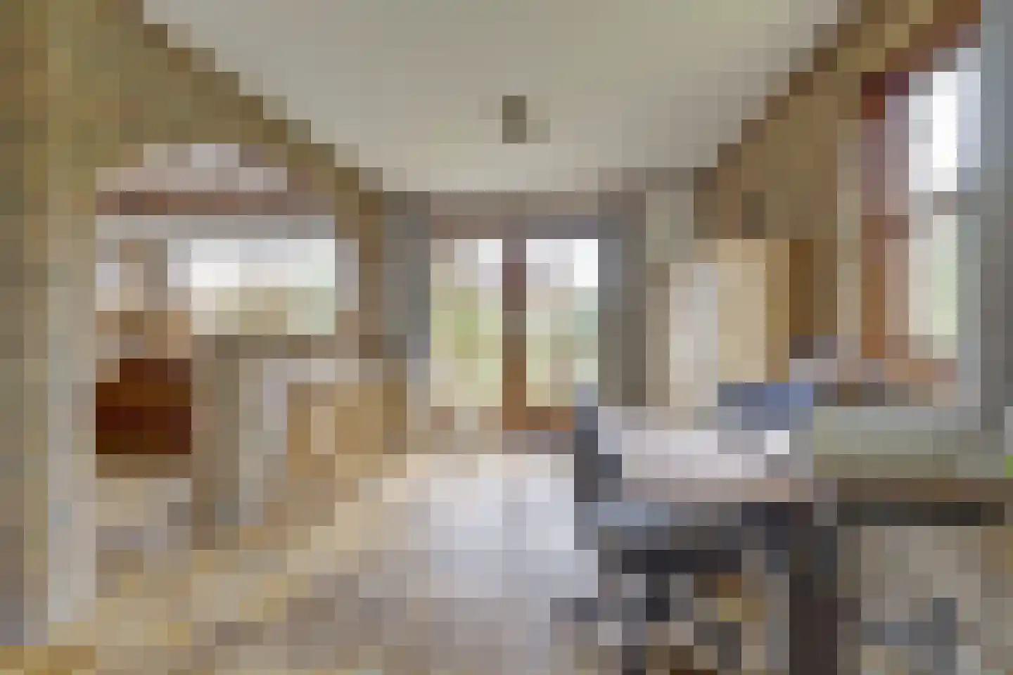 Prins Florisstraat 7 Dinteloord thumbnail 19