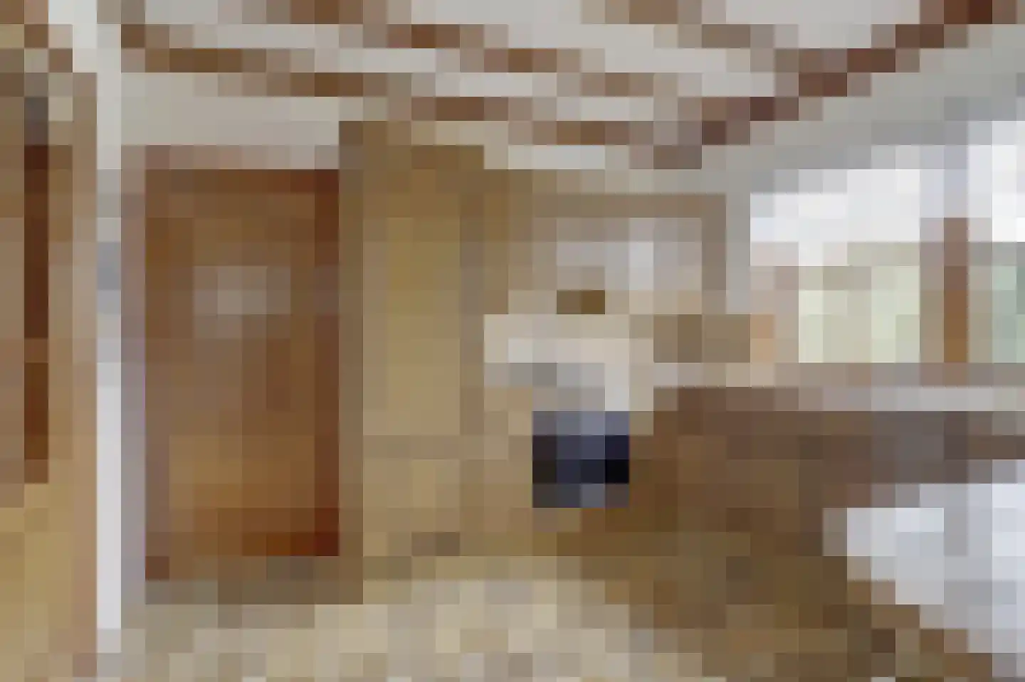 Prins Florisstraat 7 Dinteloord thumbnail 20