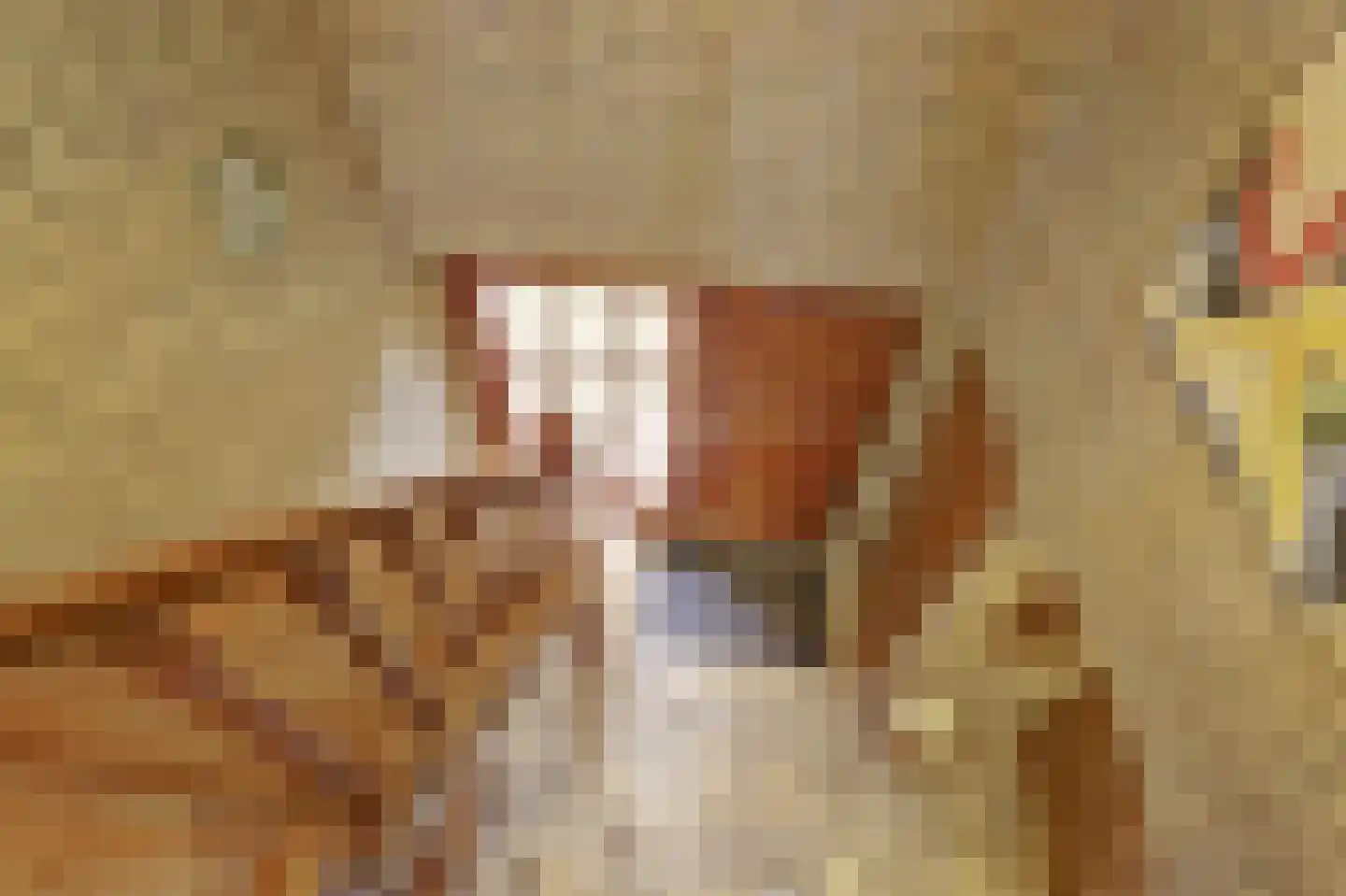 Prins Florisstraat 7 Dinteloord thumbnail 24