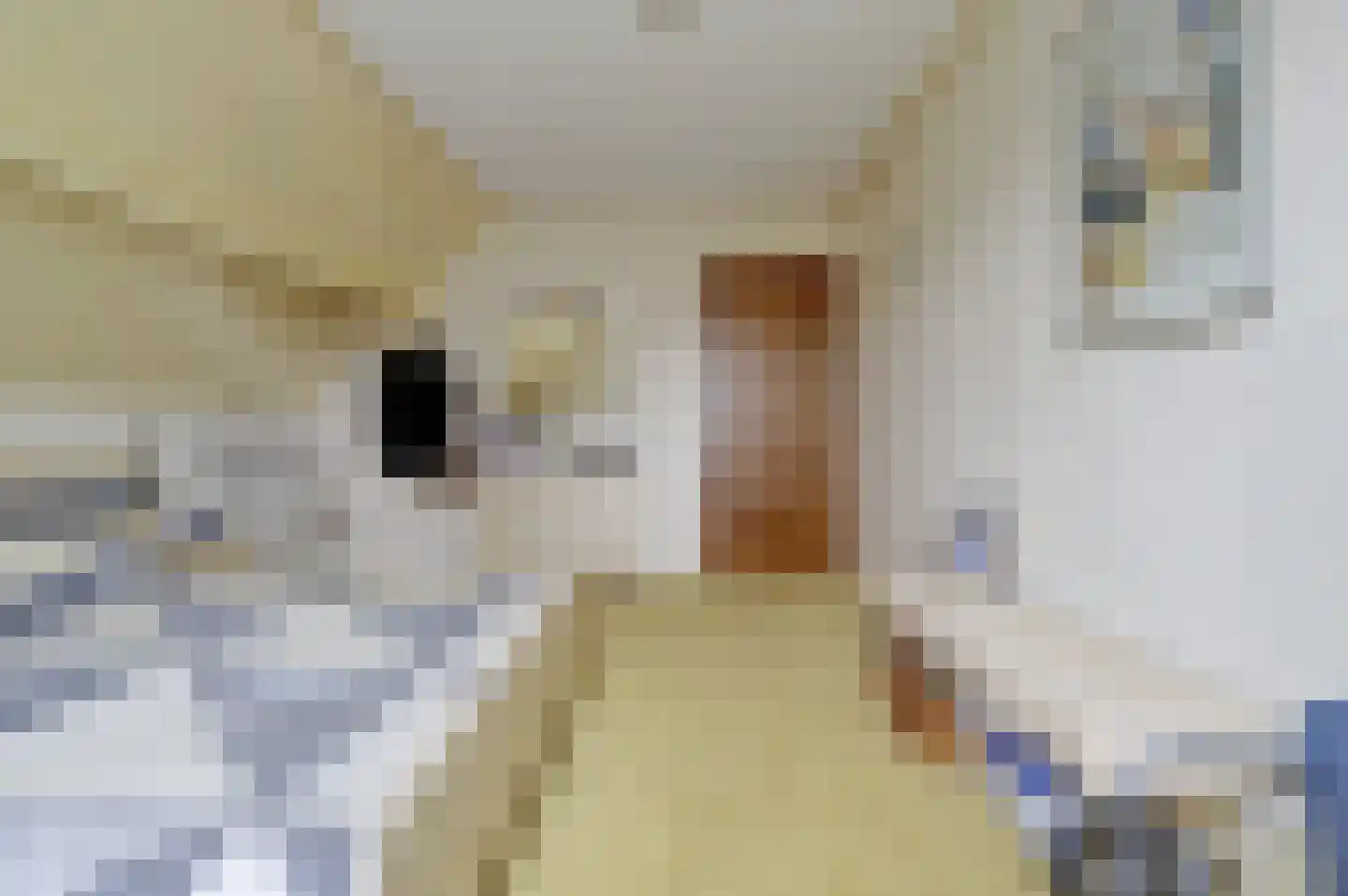 Prins Florisstraat 7 Dinteloord thumbnail 27
