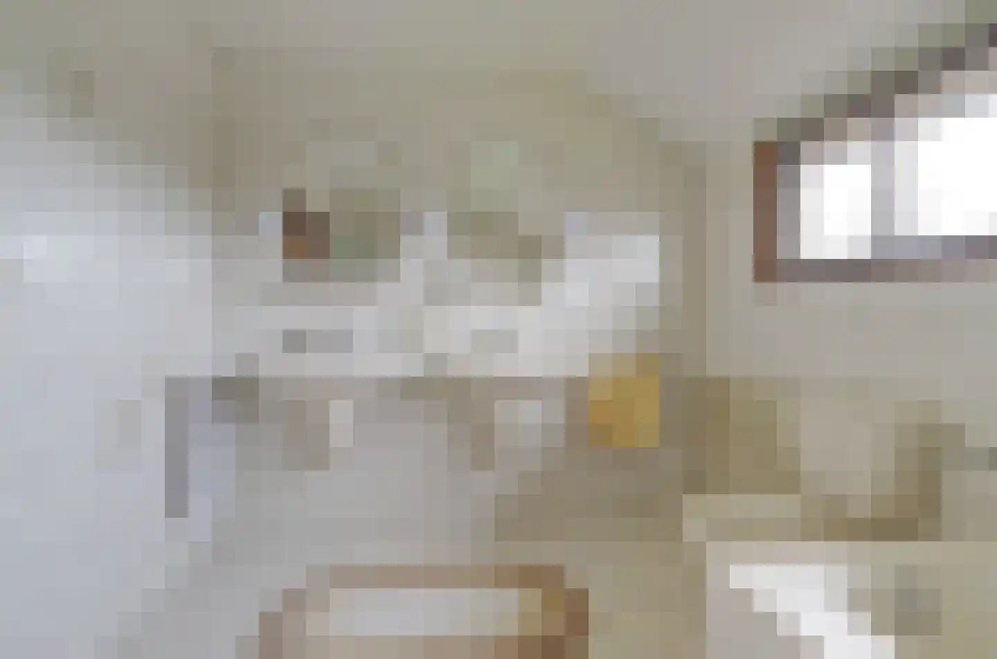 Prins Florisstraat 7 Dinteloord thumbnail 34