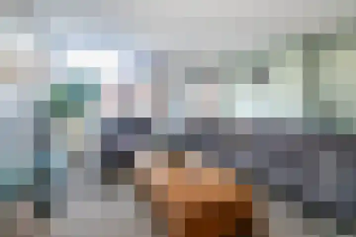 Prins Florisstraat 9 Maasdijk thumbnail 13