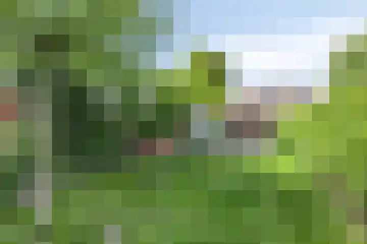 Prins Florisstraat 9 Maasdijk thumbnail 14