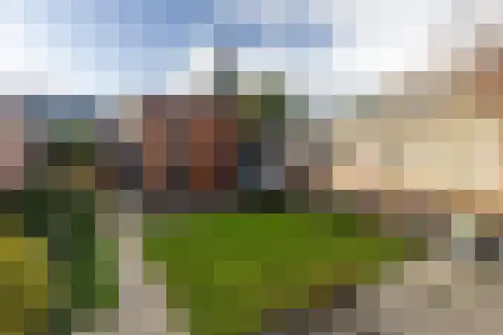 Prins Florisstraat 9 Maasdijk thumbnail 16