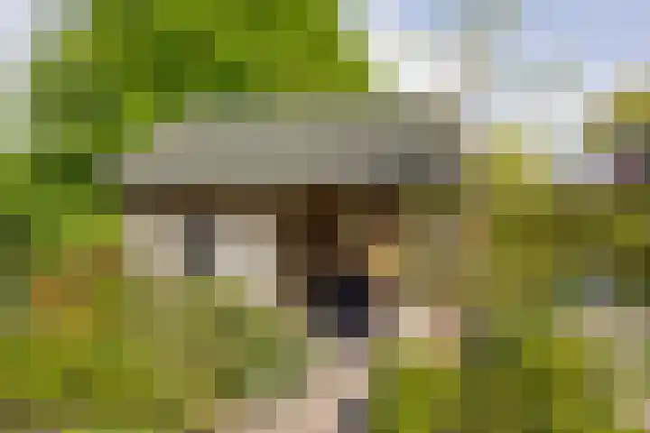 Prins Florisstraat 9 Maasdijk thumbnail 19