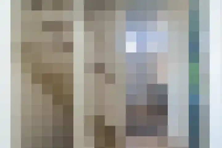 Prins Florisstraat 9 Maasdijk thumbnail 20