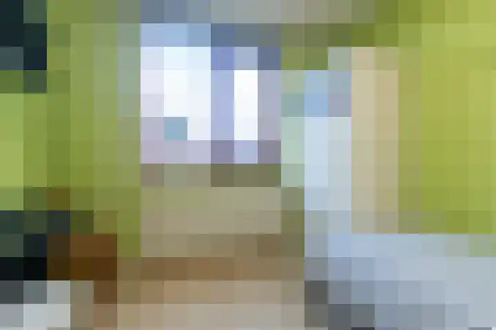 Prins Florisstraat 9 Maasdijk thumbnail 24