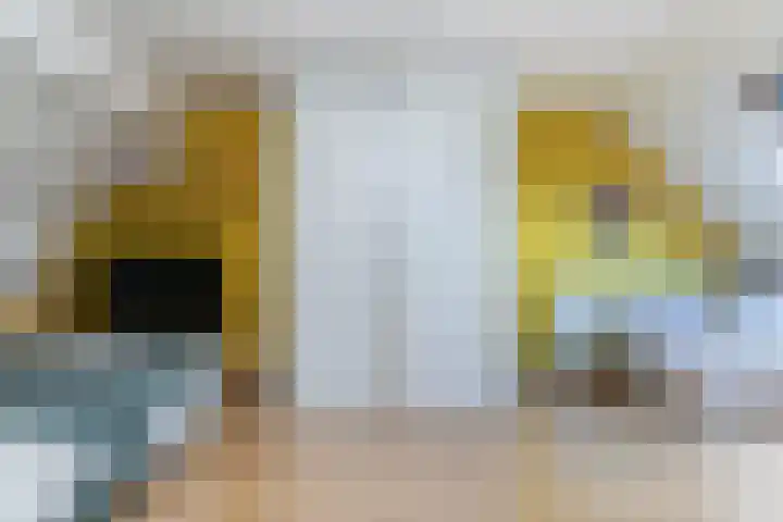 Prins Florisstraat 9 Maasdijk thumbnail 27