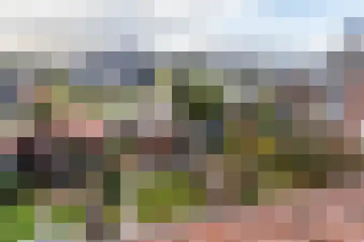 Prins Florisstraat 9 Maasdijk thumbnail 30