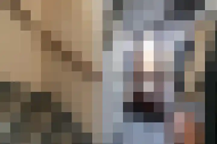 Prins Florisstraat 9 Maasdijk thumbnail 31