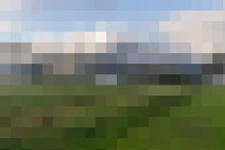 Prins Florisstraat 9 Maasdijk thumbnail 34