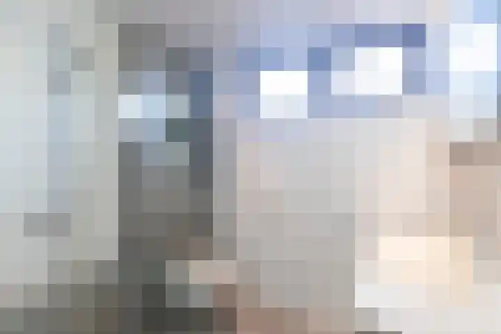 Prins Florisstraat 9 Maasdijk thumbnail 4