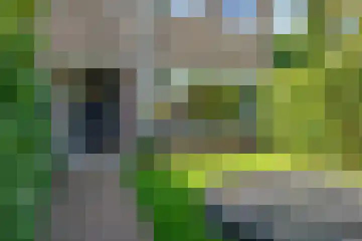 Prins Frederik Hendriklaan 70 Naarden thumbnail 8