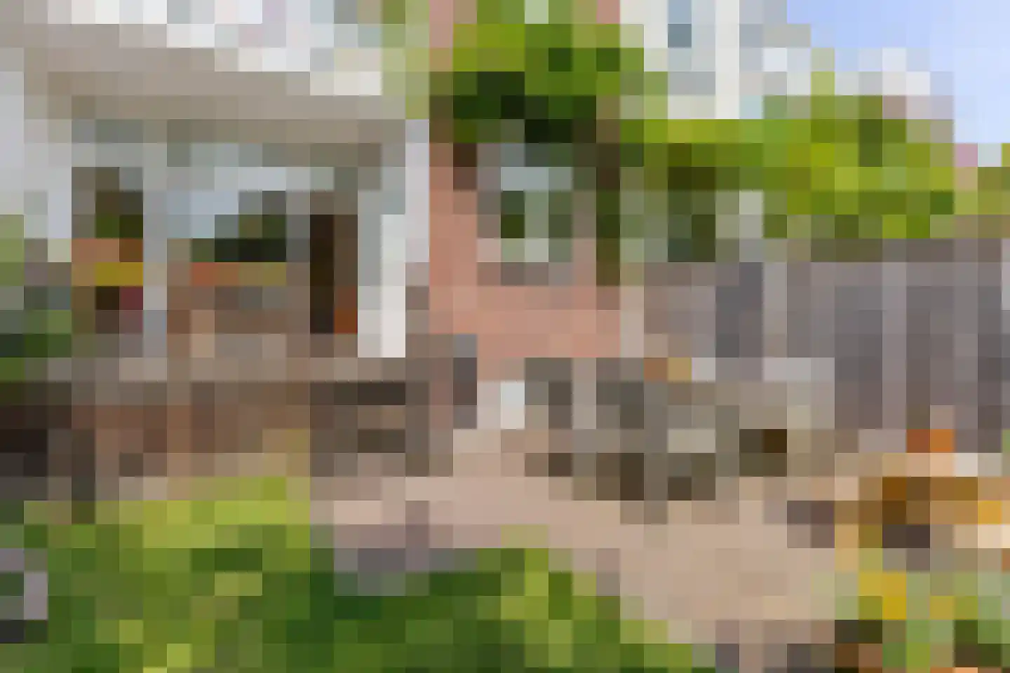 Prins Frederik Hendrikstraat 27 A Rotterdam thumbnail 22