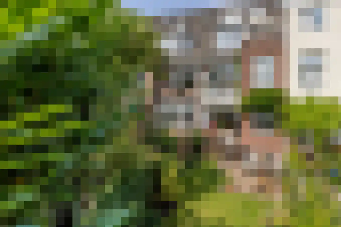 Prins Frederik Hendrikstraat 27 A Rotterdam thumbnail 44