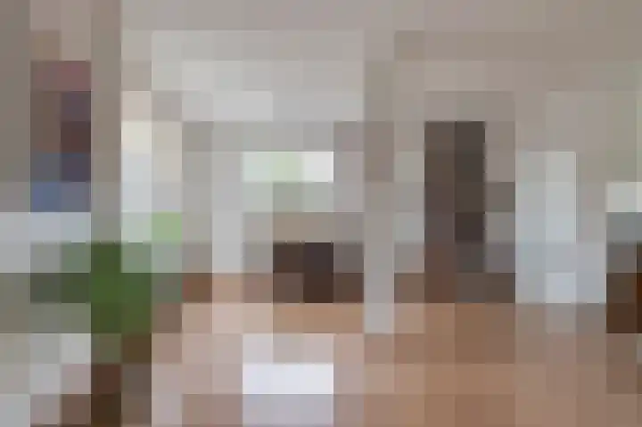 Prins Frederik Hendrikstraat 3 Buren thumbnail 6