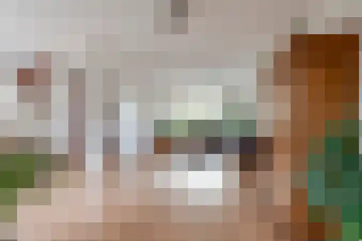 Prins Frederik Hendrikstraat 3 Buren thumbnail 7