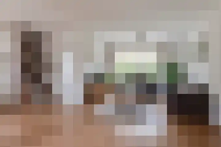 Prins Frederik Hendrikstraat 3 Buren thumbnail 8