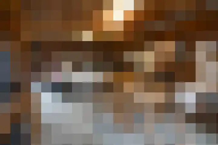Prins Frederik Hendrikstraat 4 Rijssen thumbnail 21