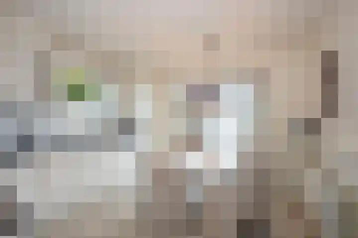 Prins Frederik Hendrikstraat 4 Rijssen thumbnail 6