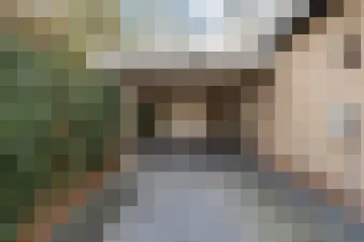Prins Frederik Hendrikstraat 8 Buren thumbnail 38