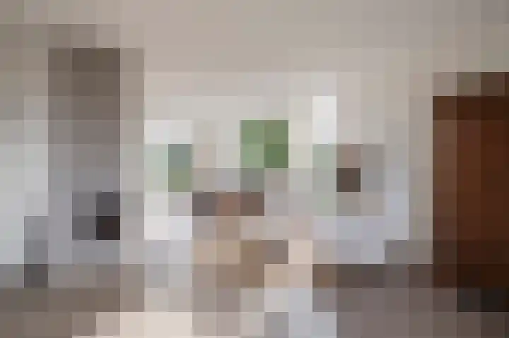 Prins Frederik Hendrikstraat 8 Buren thumbnail 4