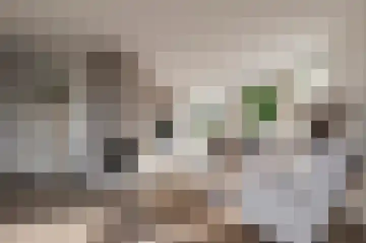 Prins Frederik Hendrikstraat 8 Buren thumbnail 7