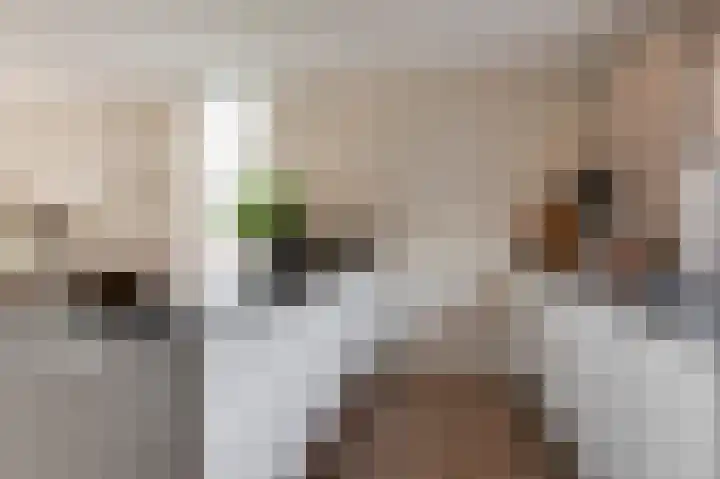 Prins Frederik Hendrikstraat 8 Buren thumbnail 9