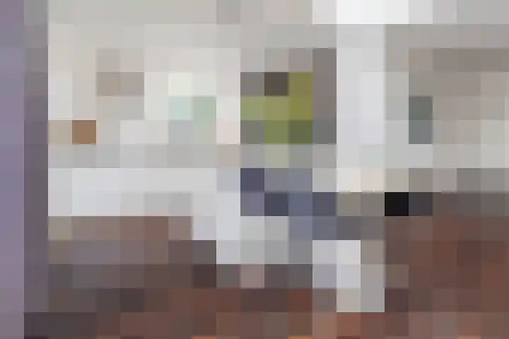 Prins Frederiklaan 16 Breda thumbnail 36