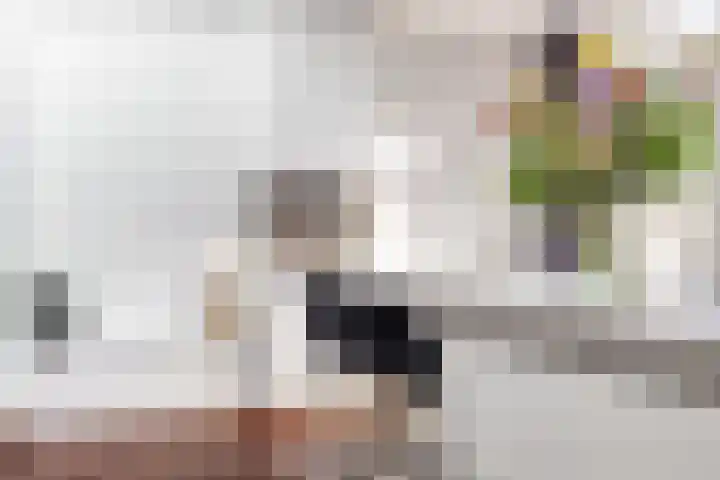 Prins Frederiklaan 16 Breda thumbnail 41