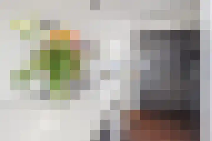 Prins Frederiklaan 16 Breda thumbnail 42